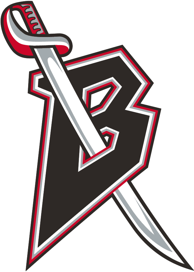 Buffalo Sabres 1999-2006 Alternate Logo iron on transfers for clothing